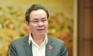 Đại biểu Quốc hội lo cơn lốc Temu triệt tiêu hàng nội